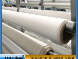 廠家直銷防水透氣膜乳白色低透復合面料霧面TPU功能薄膜 免費寄樣